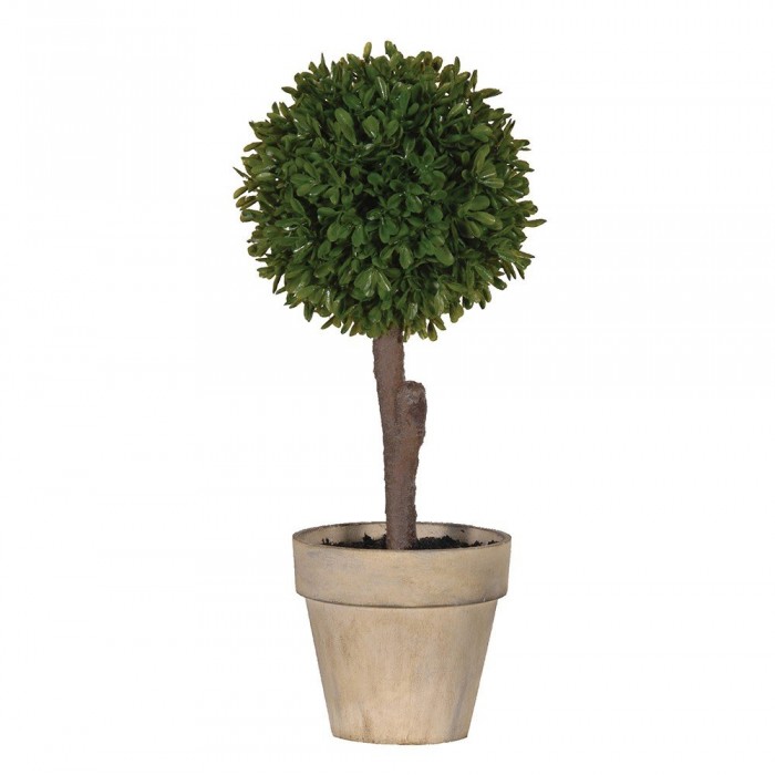 Green Miniature Boxwood Ball with Brown Pot