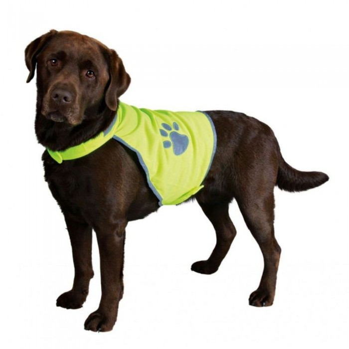 Dog Safety Vest